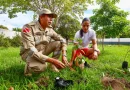 Projeto ambiental tenta melhorar a qualidade do ar e reduzir temperatura em Santarém