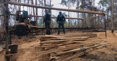 Polícia ambiental desmonta serraria ilegal no Planalto Santareno