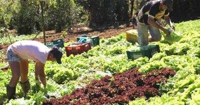 Santarém – Mutirão auxiliará agricultores familiares na regularização ambiental e cadastro em programa de incentivo financeiro