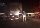 Santarém – PRF apreende caminhão com carga irregular de madeira na BR-163