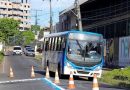 Em Santarém, eleitores terão gratuidade no transporte coletivo no domingo (6)