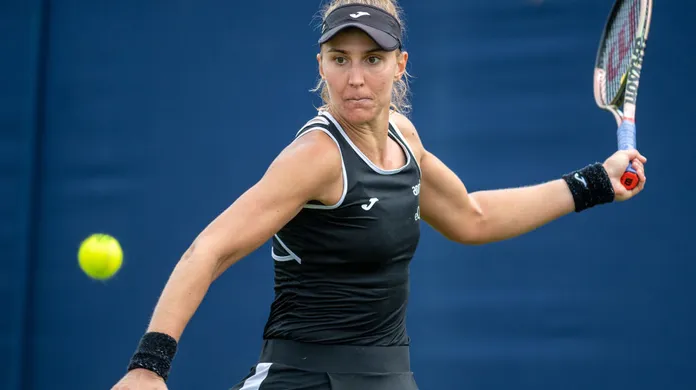 Bia Haddad vira o jogo, aumenta sua história e vai às semifinais de Roland  Garros