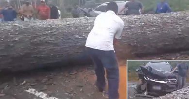 Família fica ferida após carro colidir com árvore na Transuruará (PA-370), em Santarém