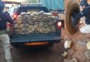 PRF apreende 100 kg de maconha escondidos dentro de pneus de caminhão em Uruará