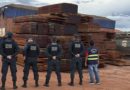 Equipe da Sefa apreende em portos de Santarém mais de 107 m³ de madeira