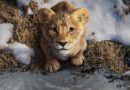 ‘Mufasa: O Rei Leão’ tem primeiro trailer divulgado