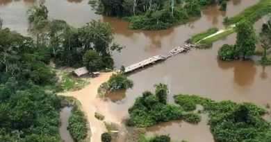 Polícia Federal destrói ponte clandestina usada por invasores de terra indígena no Pará