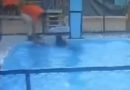 Vídeo – Mãe é presa suspeita de tentar afogar filha de 6 meses em piscina
