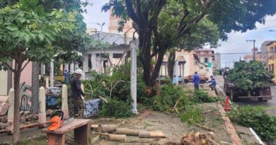 Praça do Centenário em Santarém recebe manutenção, limpeza e poda de árvores