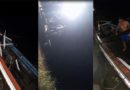 Vídeo – Embarcação ferry-boat atinge bajaras na região do Tapará; prejuízo gera confusão