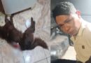 Homem mata cachorro a facada em Santarém