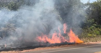 Riscos e Perigos: Equatorial Pará orienta sobre cuidados com queimadas; Pará é o segundo maior responsável por focos de incêndio no Brasil