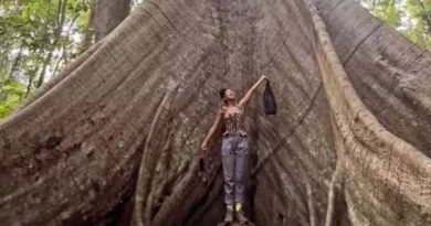 Encantada pela Amazônia, Taís Araújo visita Santarém e reflete sobre preservação e cultura local