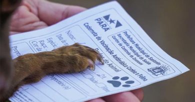 Dia D de Vacinação Antirrábica – Confira os pontos espalhados na zona urbana de Santarém