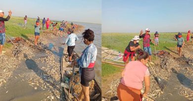 Semas divulga relatório sobre mortandade de peixes no Lago Aramanaí, em Santarém