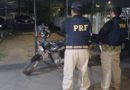 Santarém – Condutor com mandado de prisão por violência doméstica é preso com moto adulterada