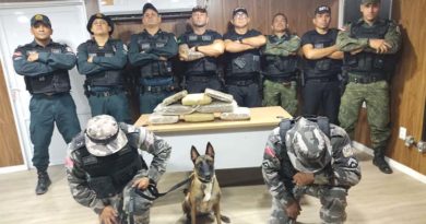 Cerca de 10 kg de drogas são apreendidas em embarcação que vinha de Manaus a Santarém