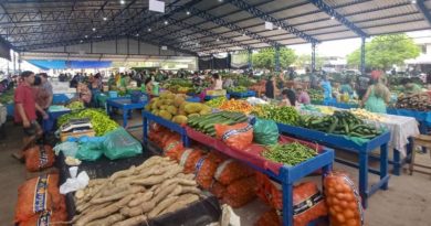 Nova Feira da Cohab beneficia produtores e consumidores em Santarém