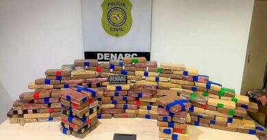 Estrangeiro é preso após ser flagrado com quase 200 Kg de maconha em Ananindeua