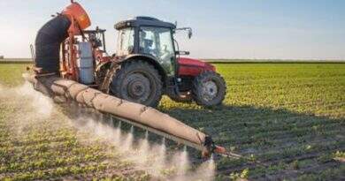 MPF requer regulamentação urgente da pulverização terrestre de agrotóxicos no Pará