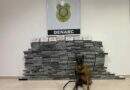 Polícia Civil apreende 200 tabletes de cocaína escondidos em carga de milho no Pará